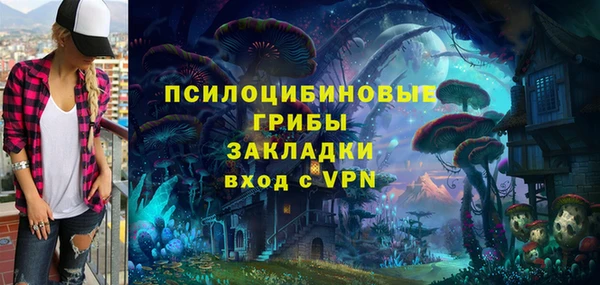 герыч Алексин