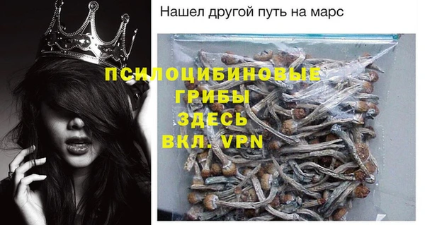 герыч Алексин