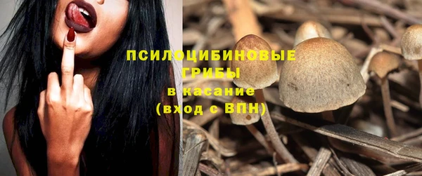 герыч Алексин