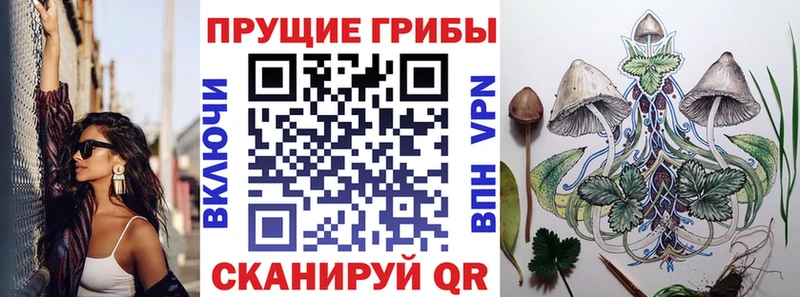 цены наркотик Усть-Илимск Галлюциногенные грибы Psilocybe