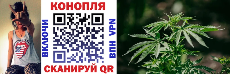 Бошки Шишки OG Kush  цена наркотик  omg ONION  Усть-Илимск 